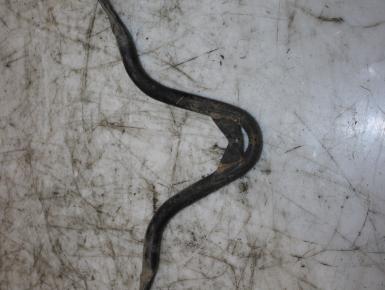 Кронштейны крепления, Honda, GL 1800 Gold Wing, 2008, 0, 0