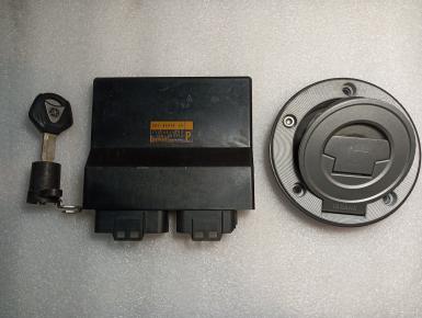 ЭБУ, Yamaha, FZ 1 Fazer, 2011, 0, 0