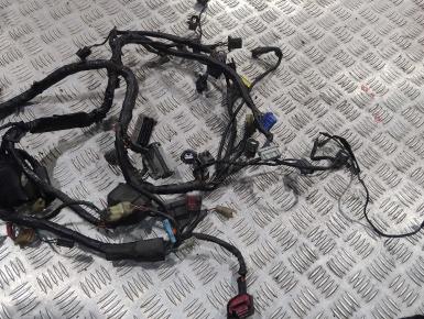 Проводка, Honda, CBR 600 RR, 2004, 0, 0