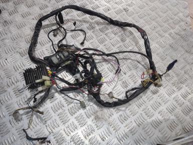 Проводка, BMW, F 650 ST Strada, 2000, 0, 0