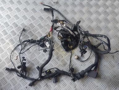 Проводка, Ducati, Superbike 1098, 2008, 0, 0