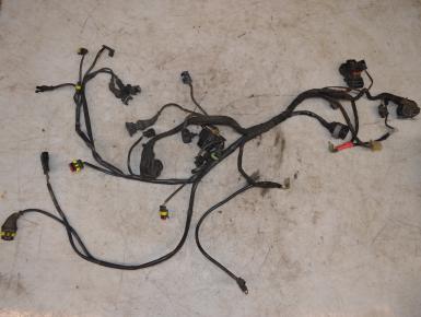 Проводка, Ducati, Multistrada 1000 DS, 2003, 0, 0