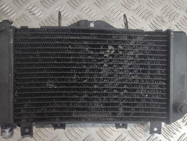 Радиатор охлаждения, Yamaha, TDM 850, 2000, 0, 0