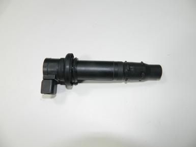 Катушка зажигания, Yamaha, FZ 1 Fazer, 2007, 0, 0