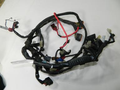 Проводка, Yamaha, FZ 1 Fazer, 2007, 0, 0