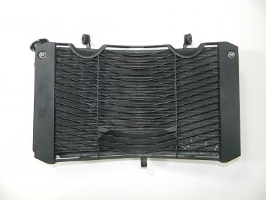 Радиатор охлаждения, Yamaha, FZ 1 Fazer, 2007, 0, 0