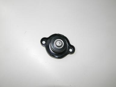 Крышка заливной горловины антифриза, Yamaha, FZ 1 Fazer, 2007, 0, 0