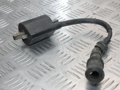 Катушка зажигания, Yamaha, XVZ 1300 A Royal Star, 1998, 0, 0