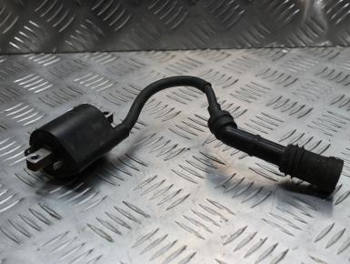 Катушка зажигания, Yamaha, XVZ 1300 A Royal Star, 1998, 0, 0