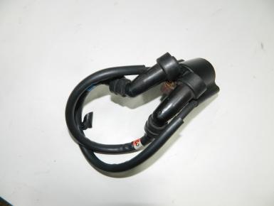 Катушка зажигания, Yamaha, XJR 1300, 2001, 0, 0