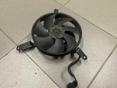 Вентилятор охлаждения, Honda, CBR 1100 XX Super Blackbird, 2002, 0, 0