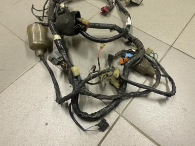 Проводка, Honda, CBR 1100 XX Super Blackbird, 2002, 0, 0