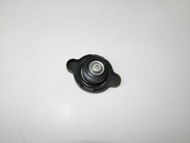 Крышка заливной горловины антифриза, Yamaha, FZ 1 Fazer, 2008, 0, 0