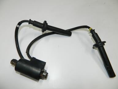 Катушка зажигания, Yamaha, FZS 1000 Fazer, 2001, 0, 0