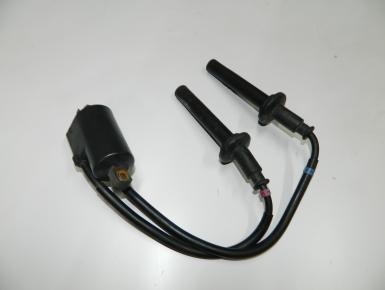 Катушка зажигания, Yamaha, FZS 1000 Fazer, 2001, 0, 0