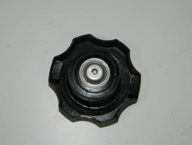 Крышка заливной горловины антифриза, Yamaha, FZS 1000 Fazer, 2001, 0, 0