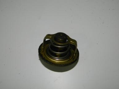 Термостат, Yamaha, FZS 1000 Fazer, 2001, 0, 0