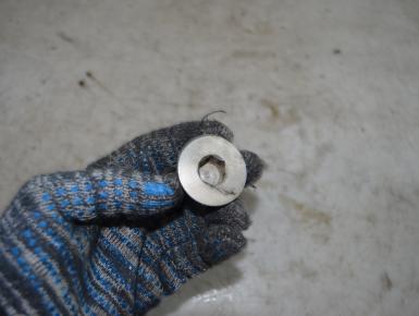 Пробка двигателя, Ducati, Monster 400, 2004, 0, 0