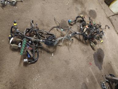 Проводка, Honda, GL 1800 Gold Wing, 2011, 0, 0