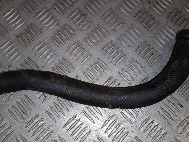 Патрубок охлаждения, Yamaha, FZR 1000, 1993, 0, 0