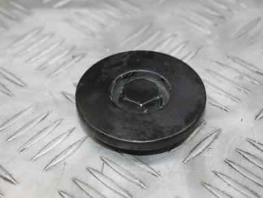 Пробка двигателя, Honda, CBR 900 RR / 929 RR (SC44), 2001, 0, 0