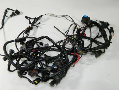 Проводка, Triumph, Daytona 675, 2006, 0, 0