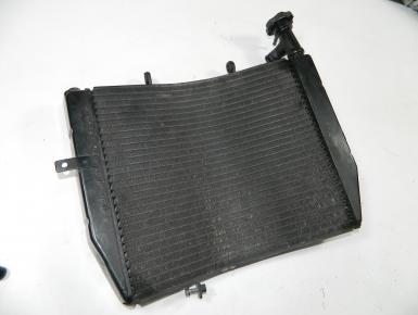 Радиатор охлаждения, Triumph, Daytona 675, 2006, 0, 0