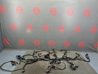 Проводка, Honda, NC 700 X / NC 750 X, 2017, 0, 0