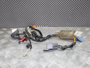 Проводка приборной панели, Honda, CBR 900 RR / 954 RR (SC50), 2002, 0, 0