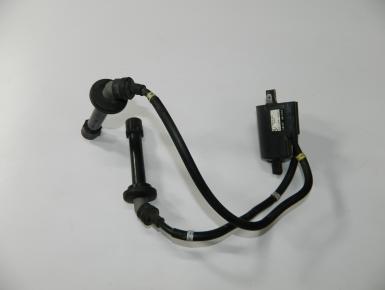 Катушка зажигания, Yamaha, FZ 6 Fazer, 2008, , 