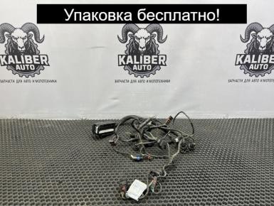 Проводка, BMW, F 800 ST, 2007, 0, 1