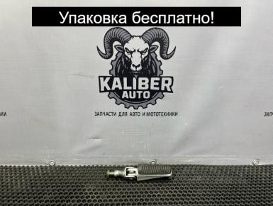 Подножка (упор) водителя правая В сборе, Yamaha, FZS 600 Fazer, 2002, 0, 0