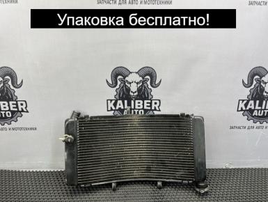 Радиатор охлаждения, Honda, CBR 900 RR / 919 RR (SC33), 1998, 0, 1